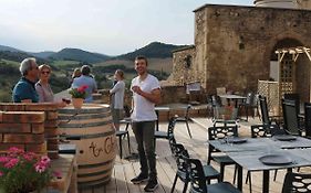 Au Château de Villelongue B&B